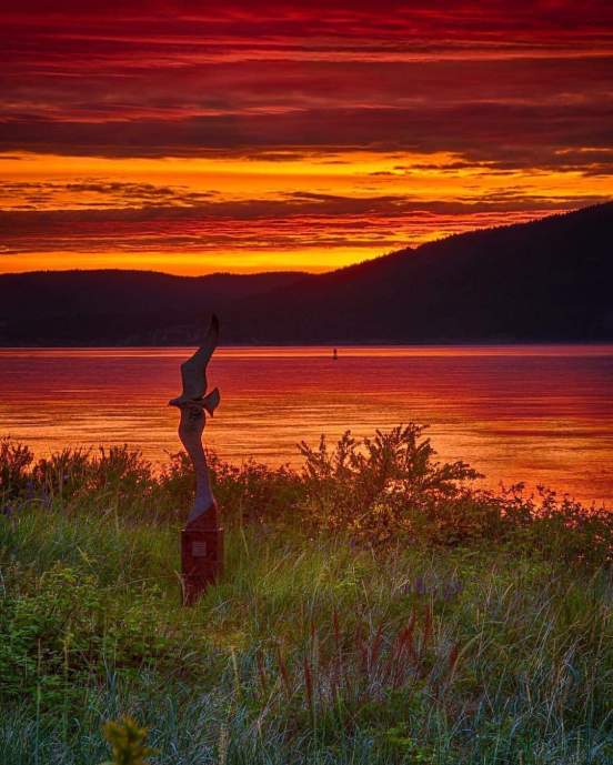 13119854_10153583317107043_8900861386858806404_o